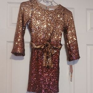 Rare Editions Gold and Pink Sequin Dress